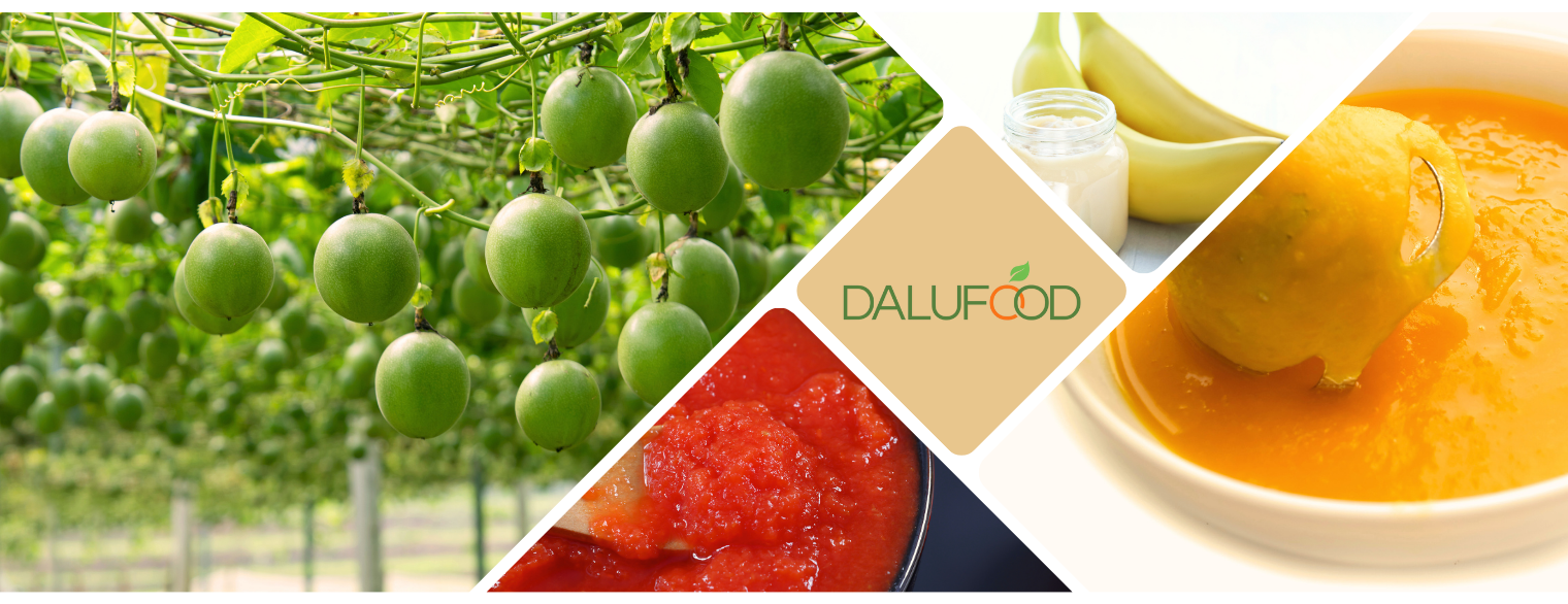 banner-website-dalufood